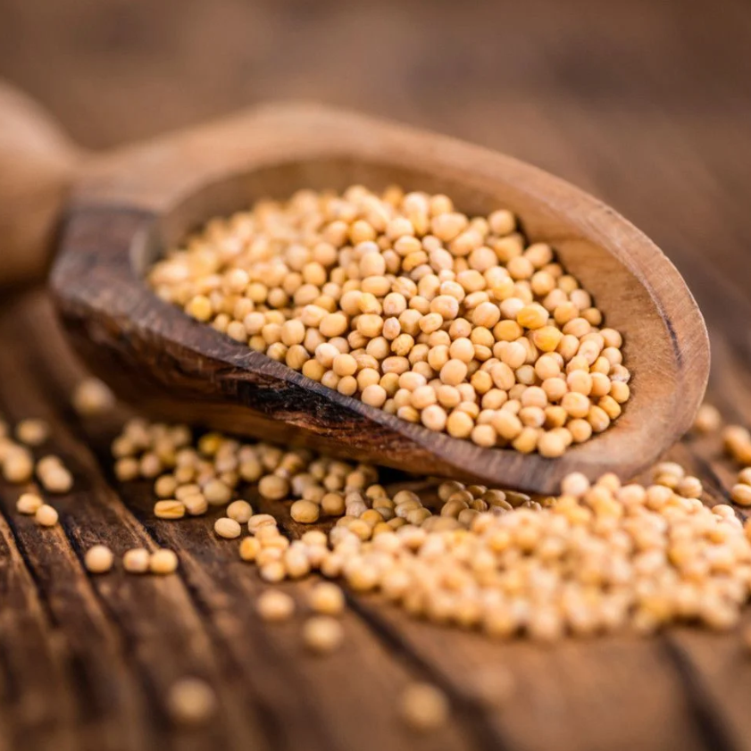 Mostarda em grão amarela –  100g por unidade