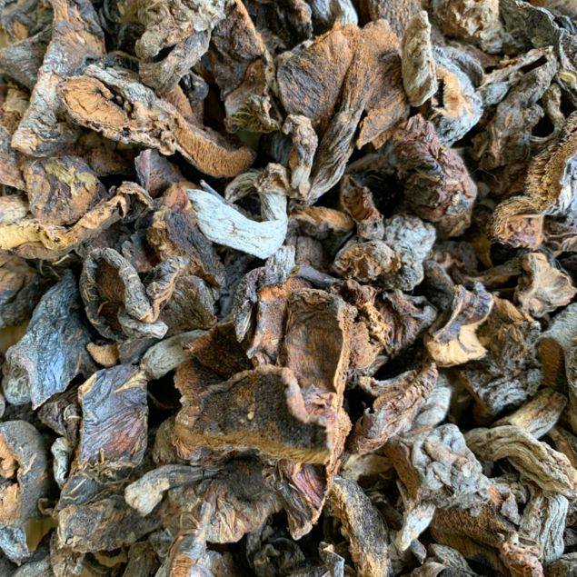 Cogumelo seco funghi- 100g por unidade