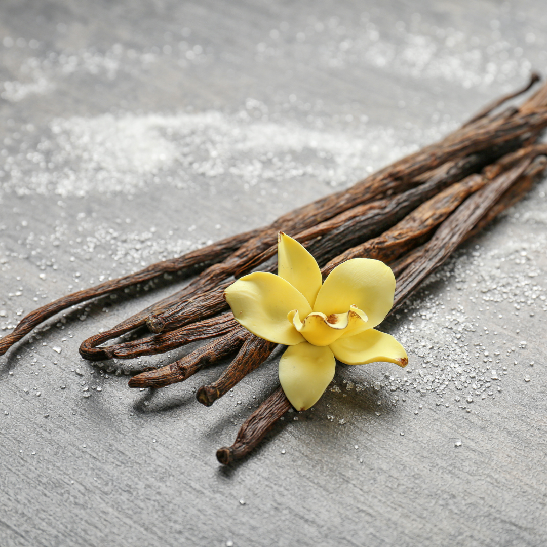 Fava de Baunilha –  unidade