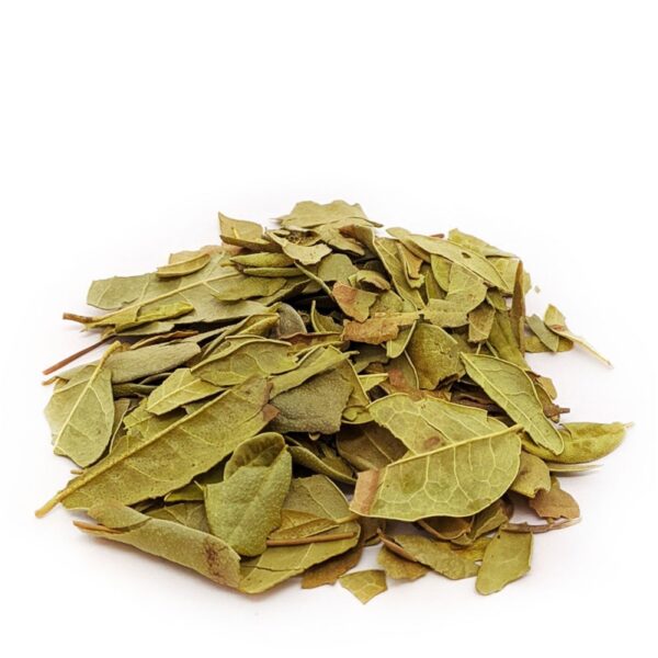 Boldo do chile - 100g unidade