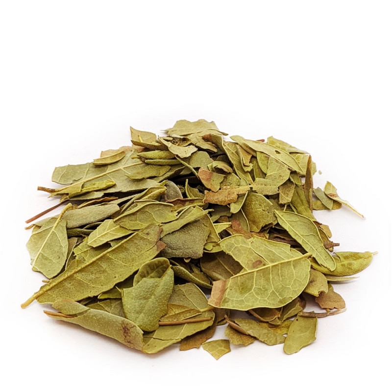 Boldo do chile – 100g unidade