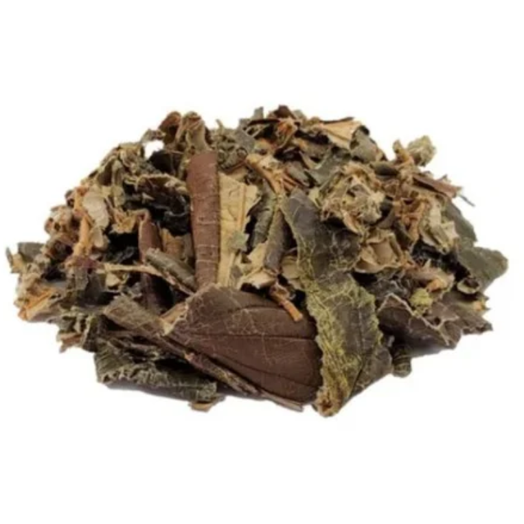 Canela de Velho – 100g unidade