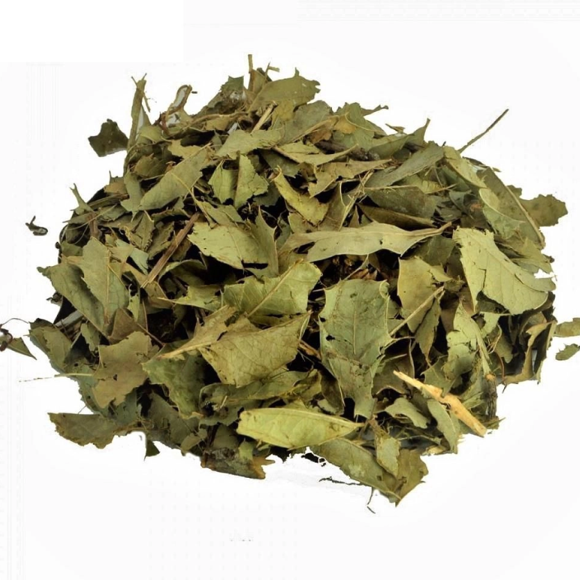 Espinheira Santa – 100g unidade