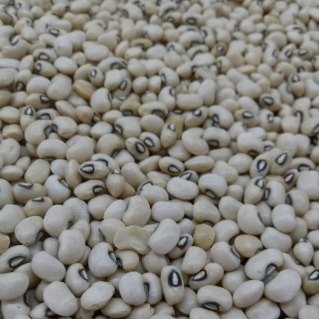 Feijão Fradinho – 100g unidade