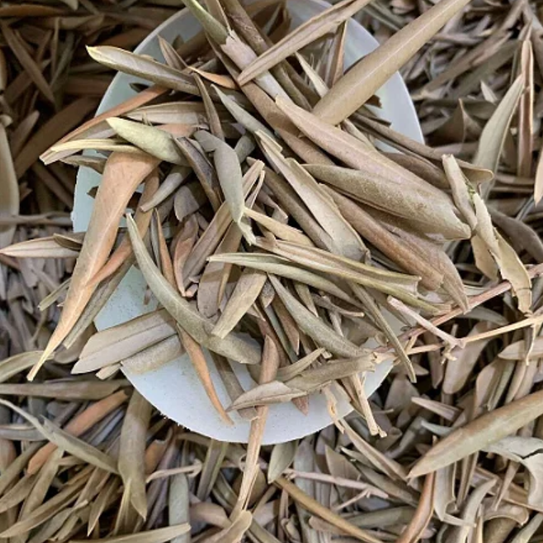 Folha de Oliveira – 100g unidade