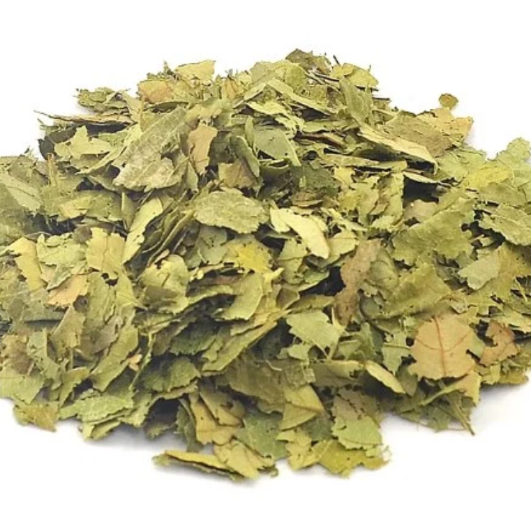 Graviola – 100g unidade