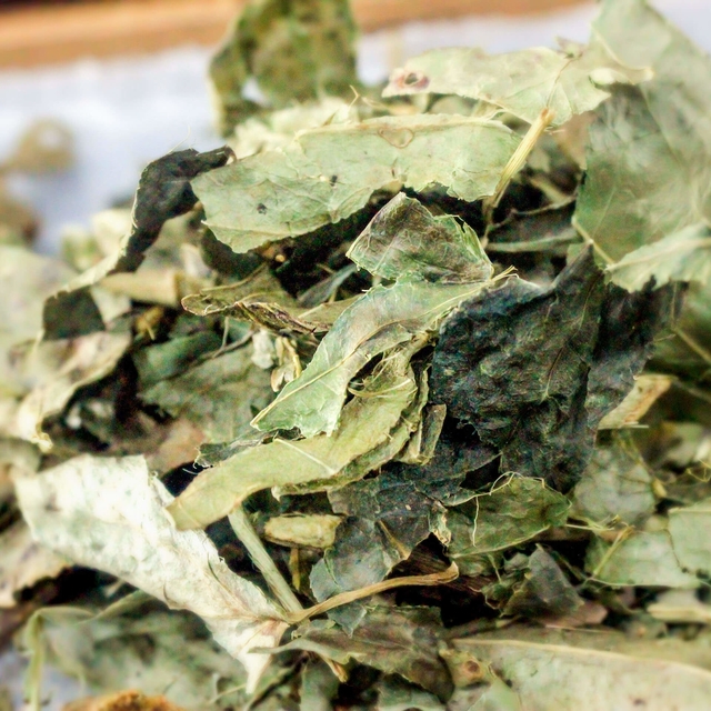 Guaco – 100g unidade