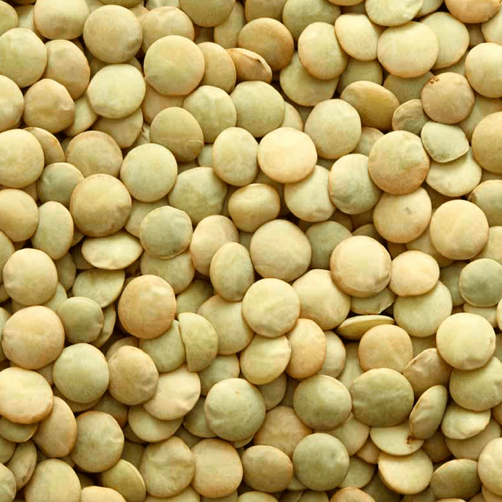Lentilha – 100g unidade