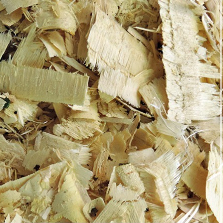 Pau Amargo (Pau Tenente) – 100g unidade