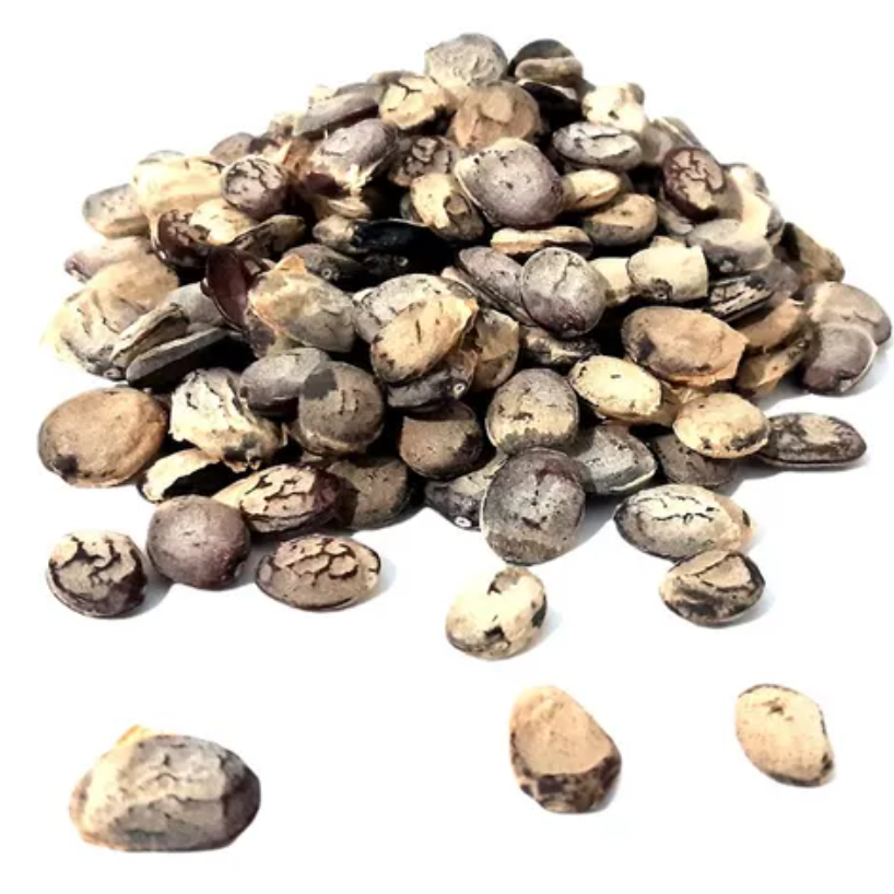 Semente de Emburana – 100g unidade