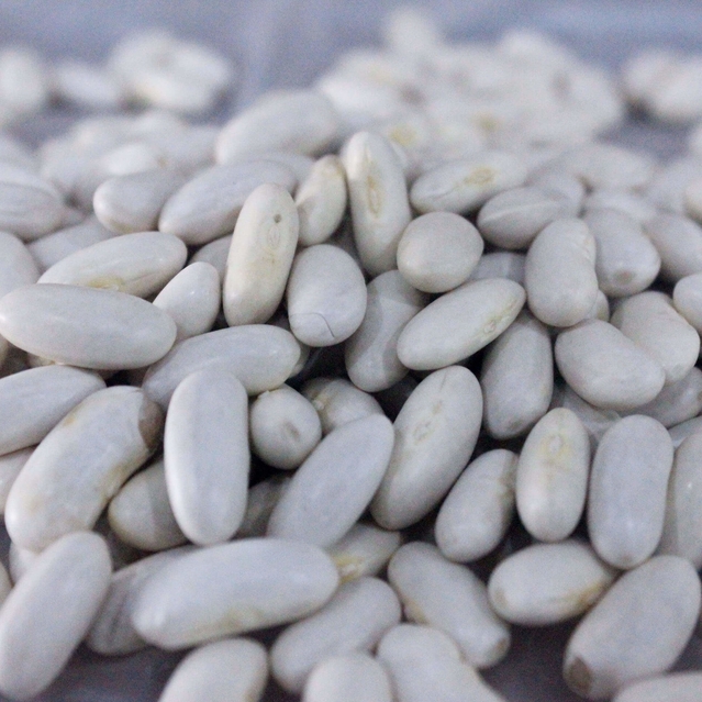 Feijão Branco – 100g unidade