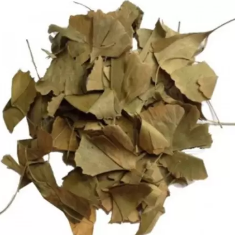 Ginkgo Biloba Folha – 100g unidade