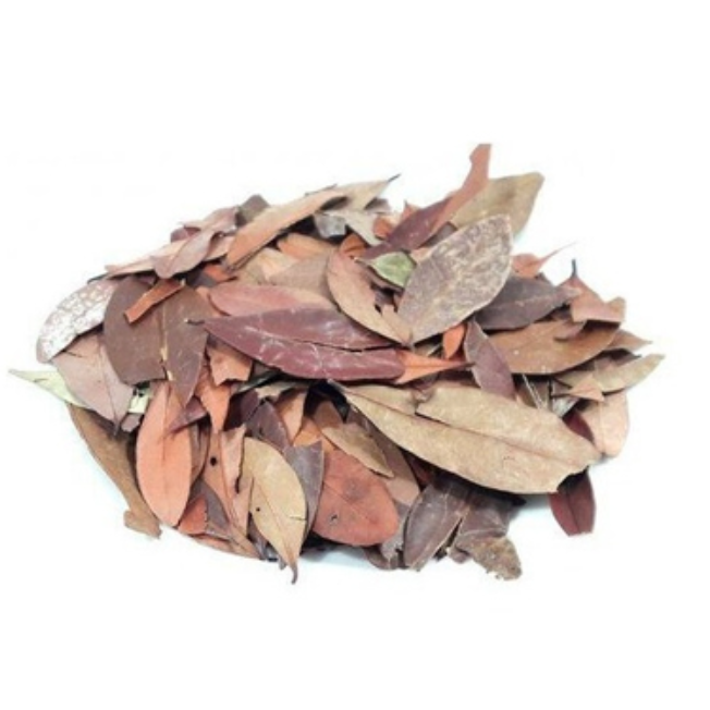 Insulina – 100g unidade