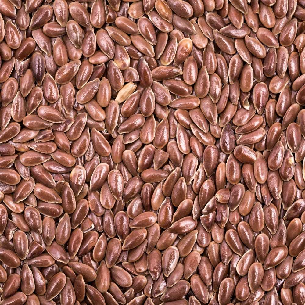 Linhaça Marrom – 100g unidade