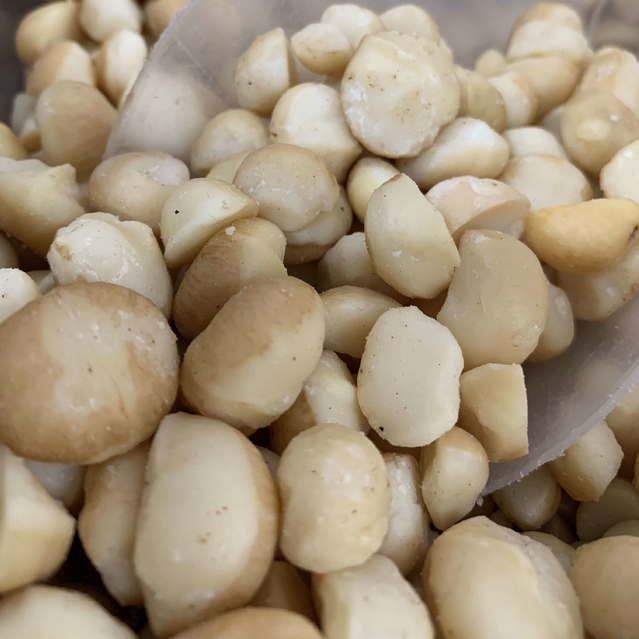 Macadâmia natural – 100g unidade