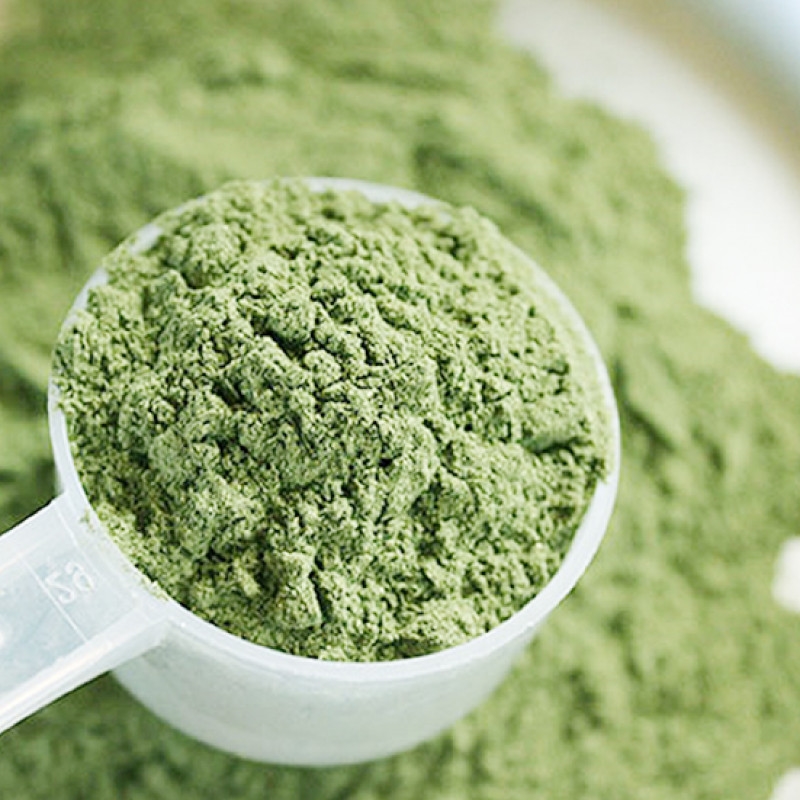 Ora Pro Nóbis em pó – 100g unidade