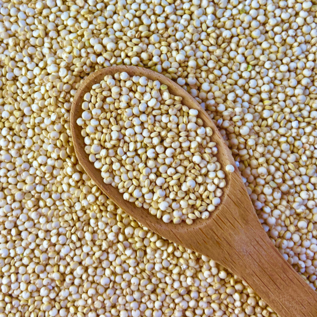 Quinoa em grão  branca – 100g unidade