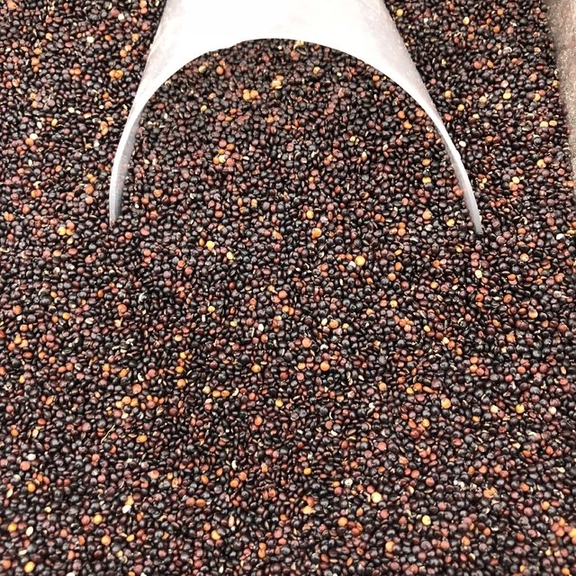 Quinoa em grão preta – 100g unidade