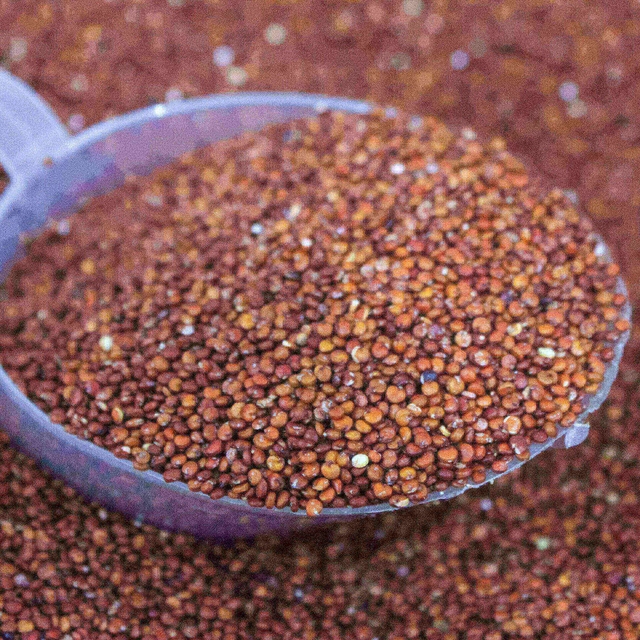 Quinoa em grão Vermelha – 100g unidade