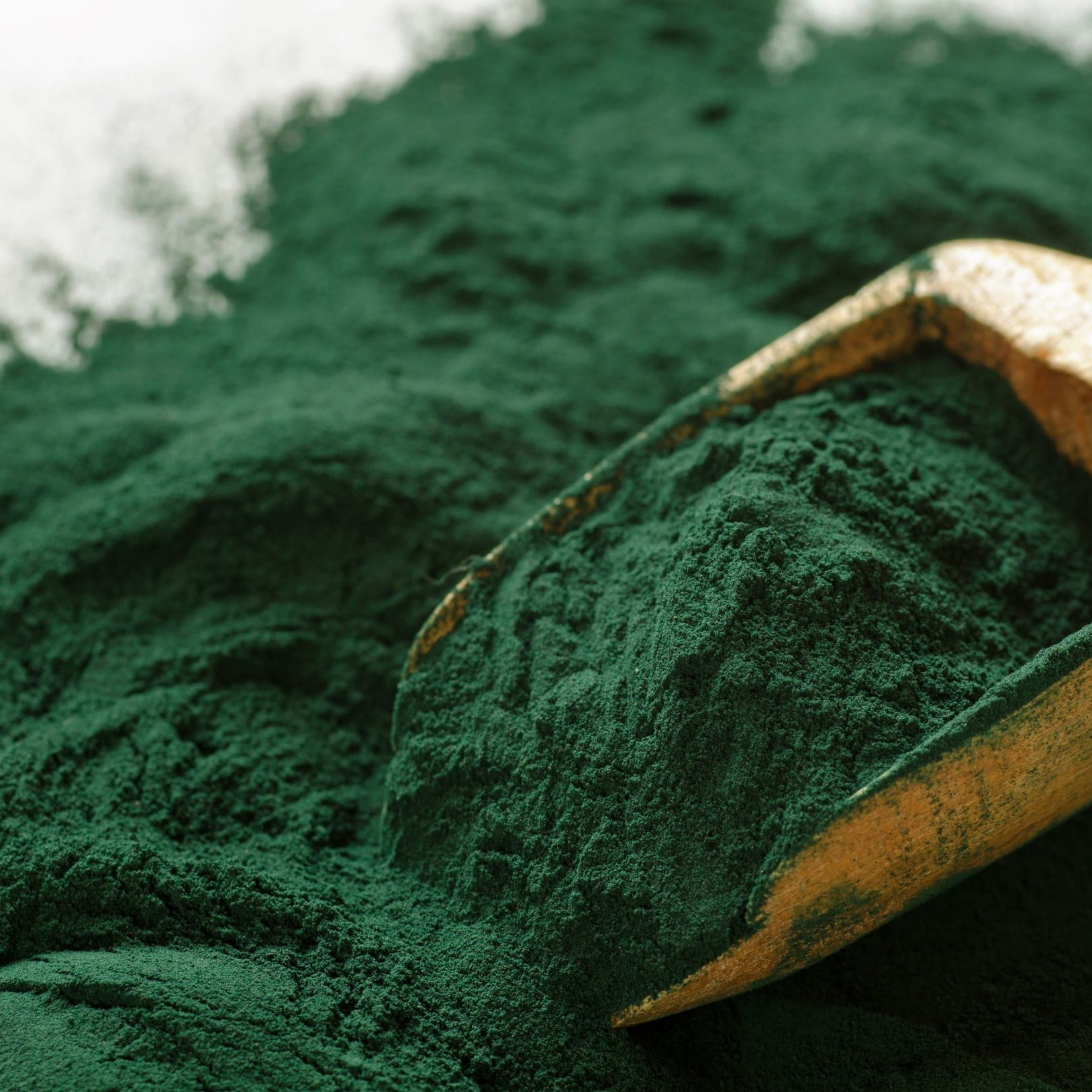 Spirulina pó – 100g unidade